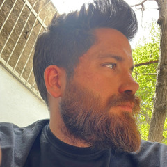 aidin torseh