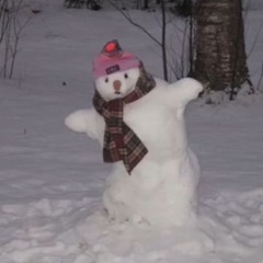 i watch the snow fall