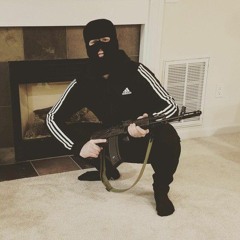 perro_ng