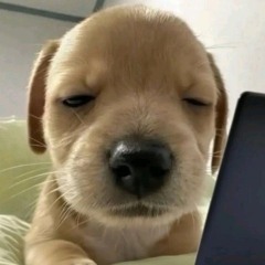 Trần Đình Phong ✪