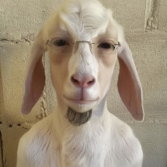 Adrian