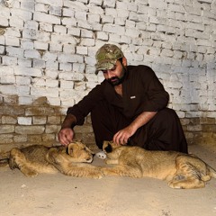 Shoaib Baloch Essazai