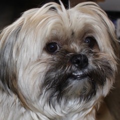 eliza die ヽ(^。^)丿