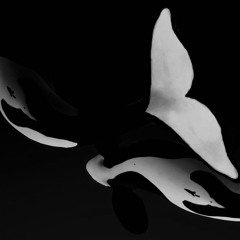 𝚔𝚒𝚕𝚕𝚎𝚛 𝚟𝚎𝚒𝚕