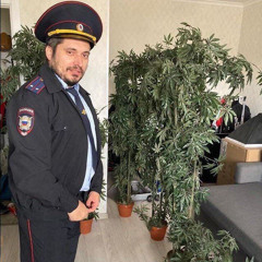 нема
