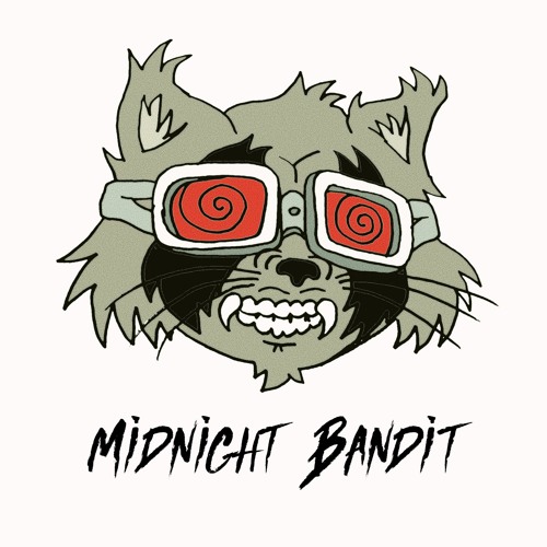 Midnight Bandit 🦝’s avatar
