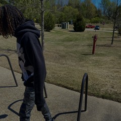 brysosa