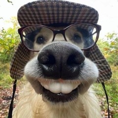 キラキラアラモード☆