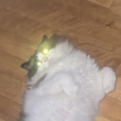 EKAFXFAKE