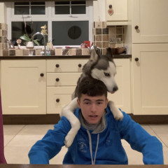 Fintan Mcivor