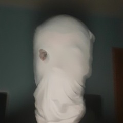 The Adversary