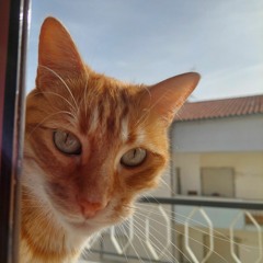 María