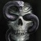 Snakes n the skulls