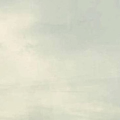 Niv