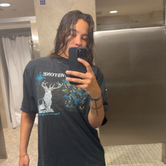 shanelreid