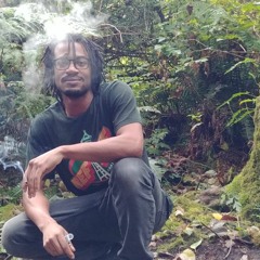 D-Mar the Daytripper