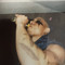 zay