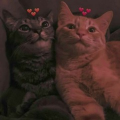 Nada Mahmoud Mamdouh