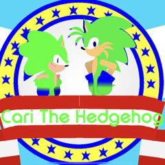 CariTHedgehog