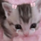 missbunbo