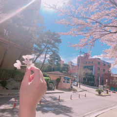 Seohae