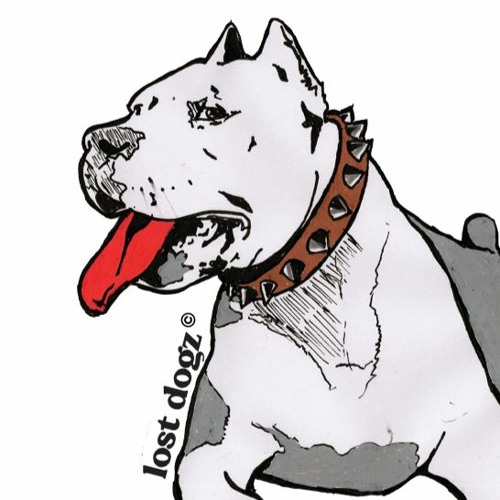 Lost Dogz’s avatar