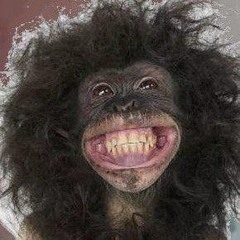 Monkey man