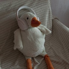 I'm goose