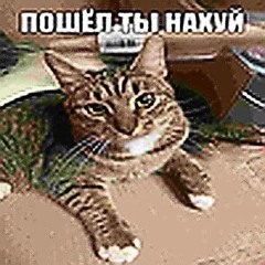 Maxxk