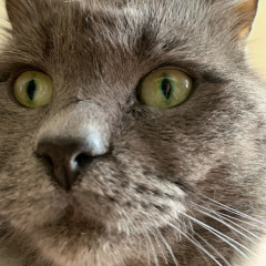 hellooookkittyyy