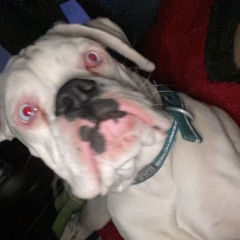 ezzyjjuice