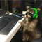 RaccoonMan