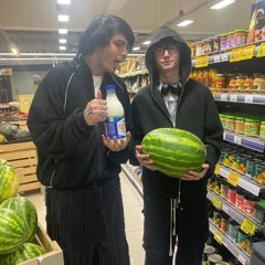 nascarplug