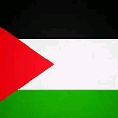 محمود أبوزيد