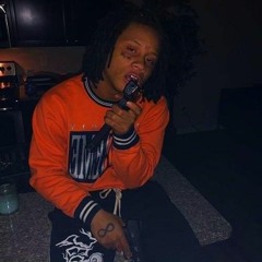 yxn.29