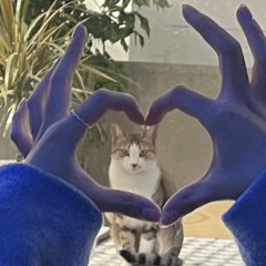 ₍˄·͈༝·͈˄₎