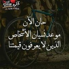 Mohamed Tarek