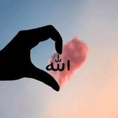 هبه مصطفى