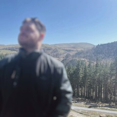 blaidd