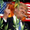 LIL TRUMP
