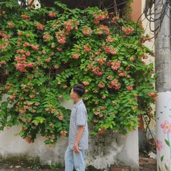 Minh chính