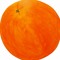 Gilliam Orange