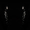 Saige Ego / Shaun Gotti