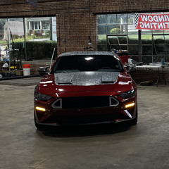 RubyDaS550