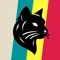 CatsAndPanthers