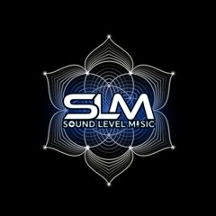 Sound Level Music