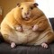Hamster Time Bomb