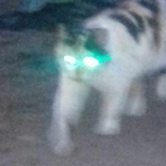 Ėņđżel