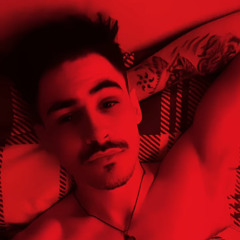 Platon Paladin Gleichmann