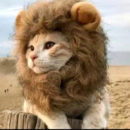 Stream Your Boyfriend Game Title Music by anna_totally Listen online